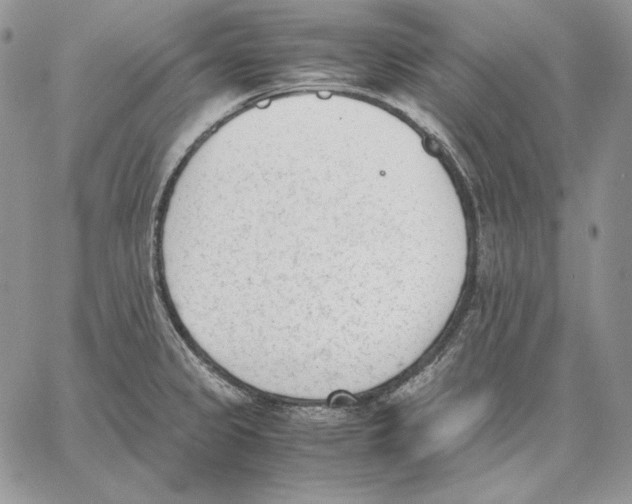 X0000062871333200602031707