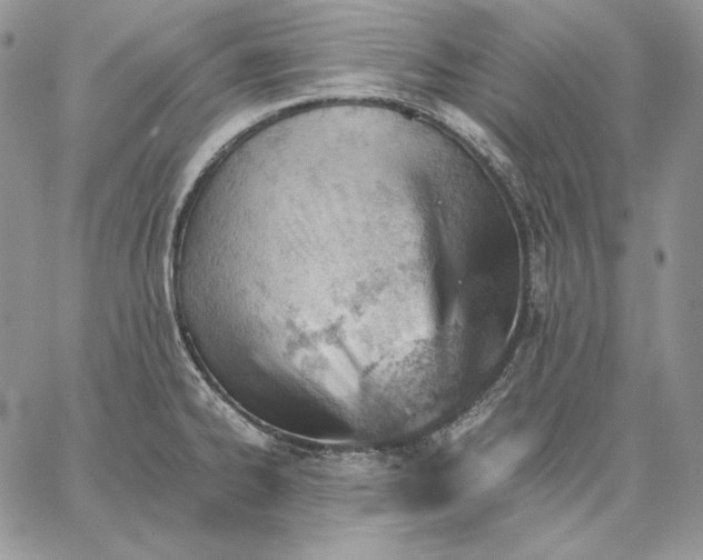 X0000062871334200602031707