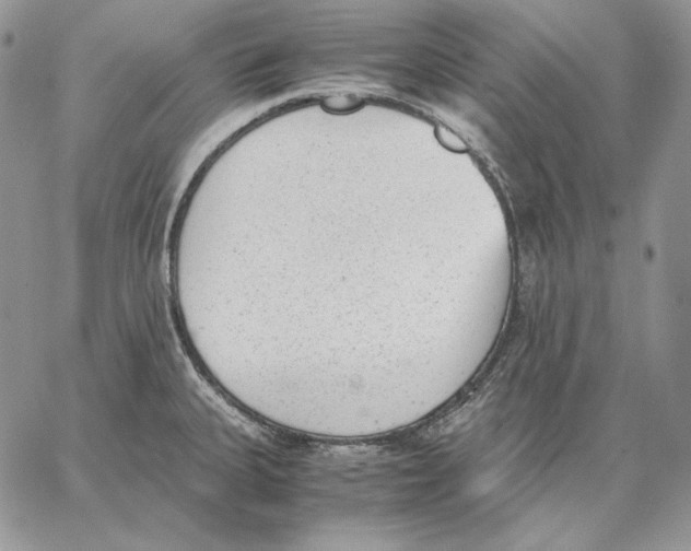 X0000062871335200602031707