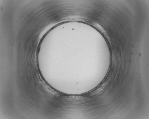 X0000062871336200602031707