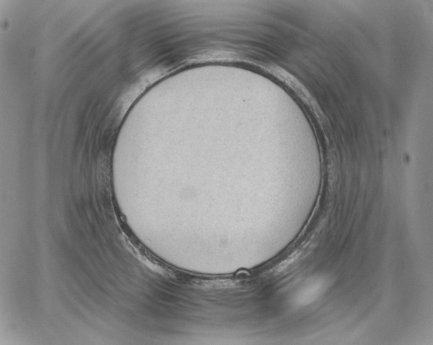 X0000062871337200602031707