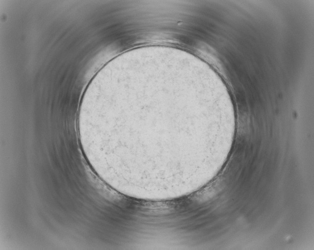 X0000062871338200602031707