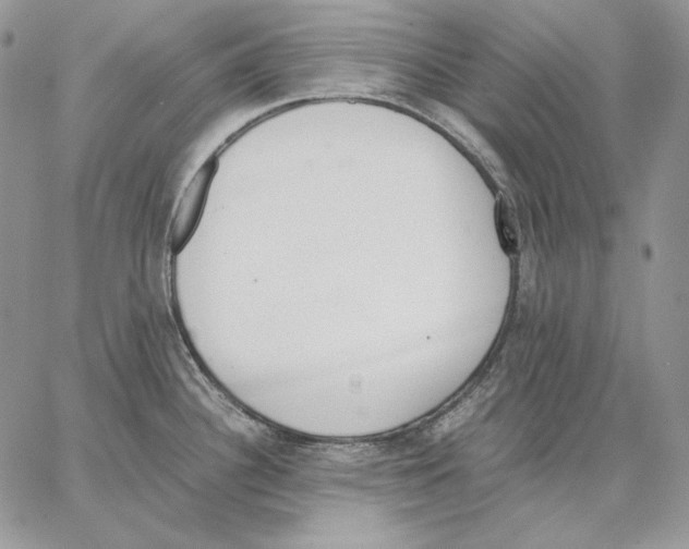 X0000062871340200602031707