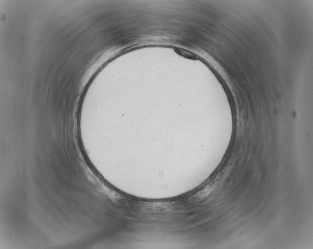 X0000062871341200602031707