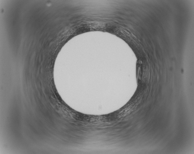 X0000062871345200602031706