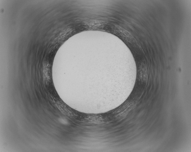 X0000062871346200602031706