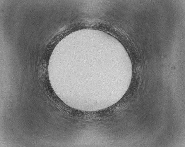 X0000062871349200602031706