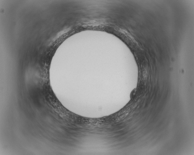 X0000062871350200602031706