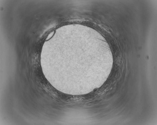 X0000062871351200602031706