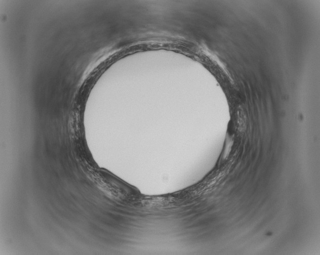 X0000062871352200602031706