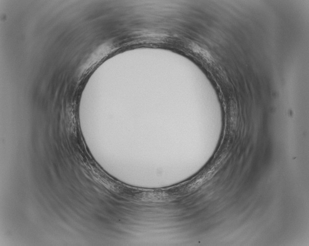 X0000062871354200602031706