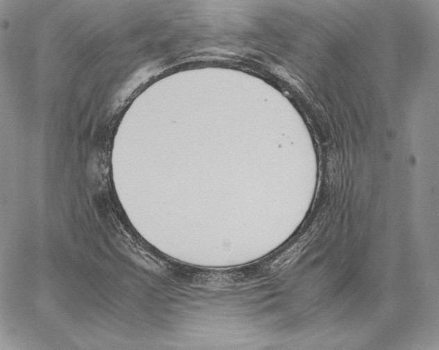 X0000062871355200602031706