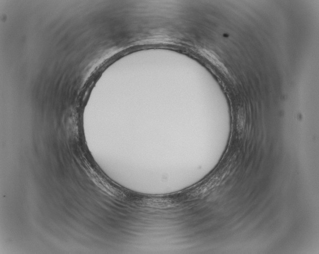 X0000062871356200602031706