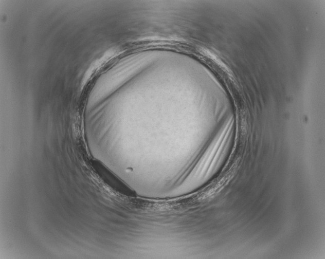 X0000062871357200602031706