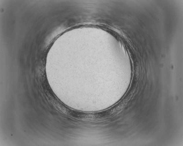 X0000062871359200602031706