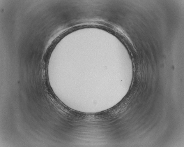 X0000062871360200602031706