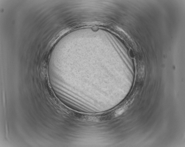 X0000062871361200602031706