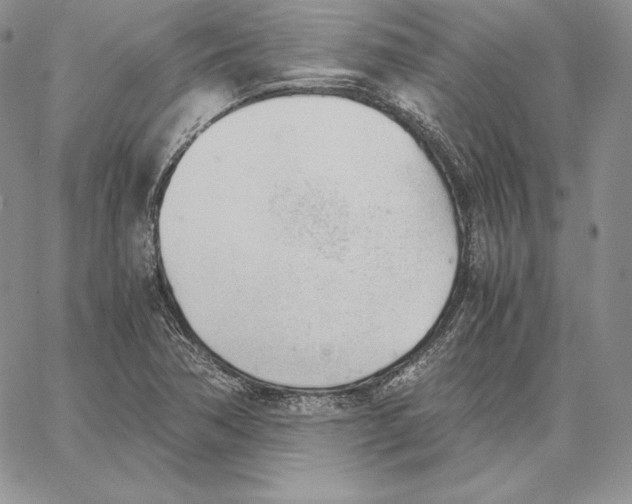 X0000062871362200602031706