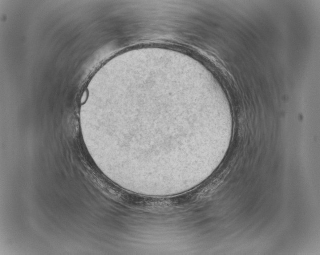 X0000062871363200602031706