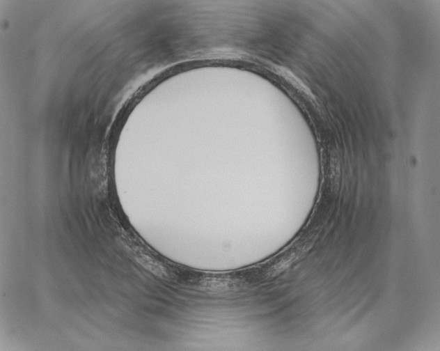 X0000062871364200602031706