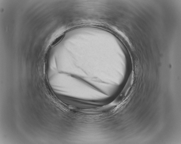 X0000062871365200602031706