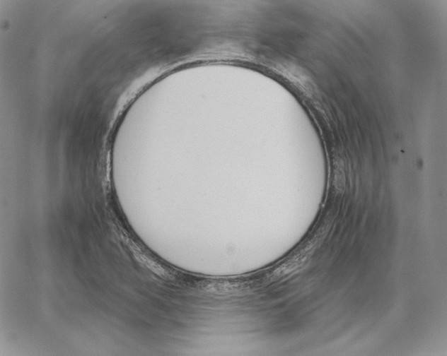 X0000062871366200602031706