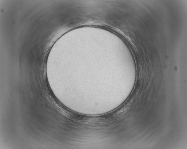 X0000062871367200602031706