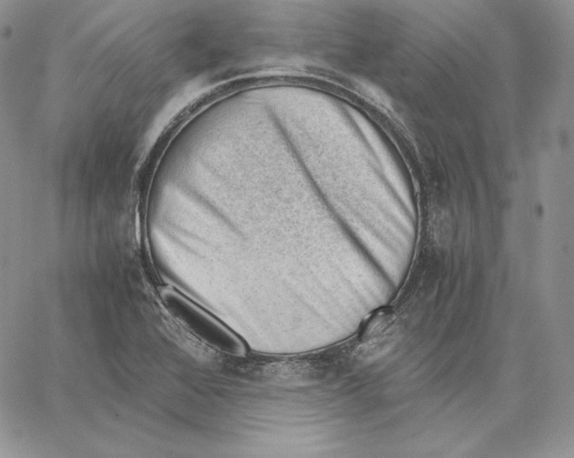 X0000062871368200602031706