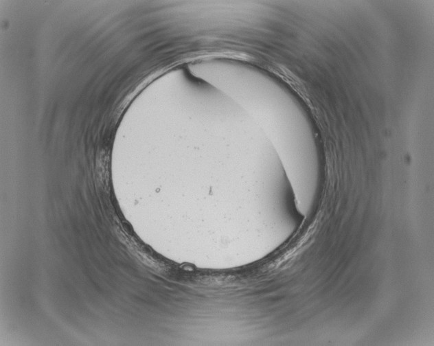 X0000062871369200602031706