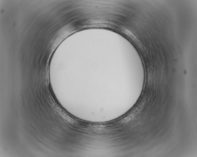 X0000062871370200602031706