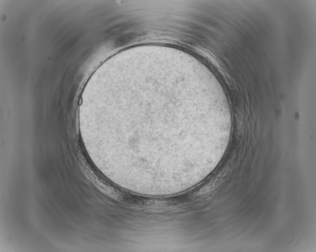 X0000062871371200602031706