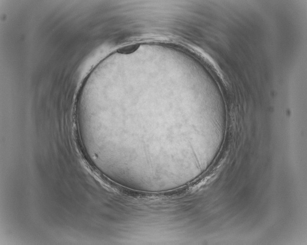 X0000062871373200602031706