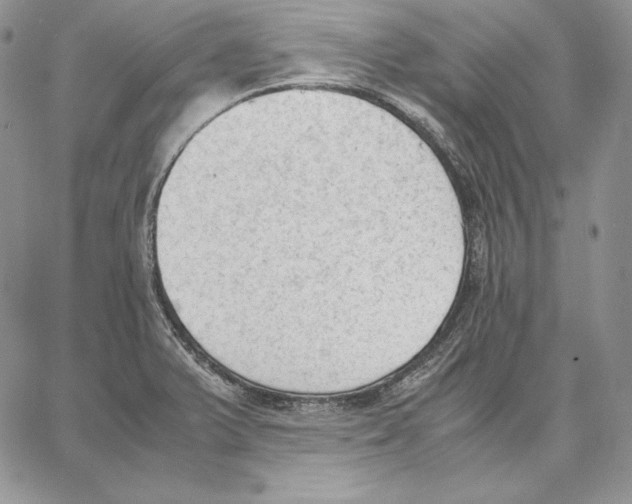 X0000062871375200602031706