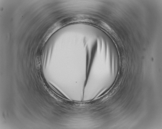 X0000062871377200602031706