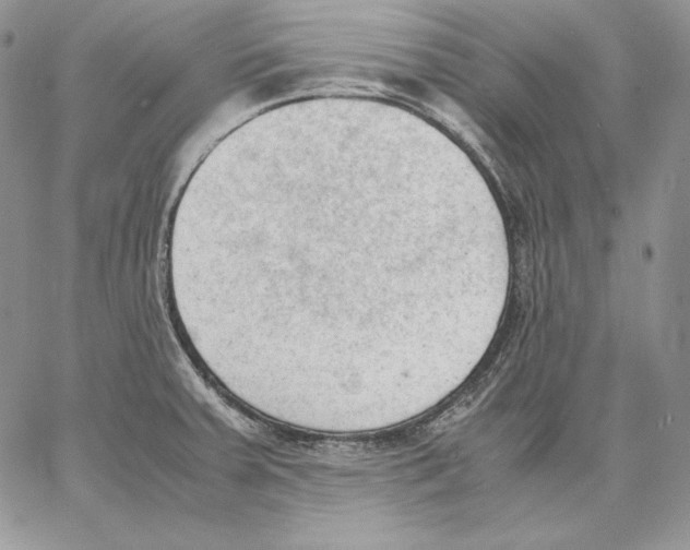 X0000062871379200602031706