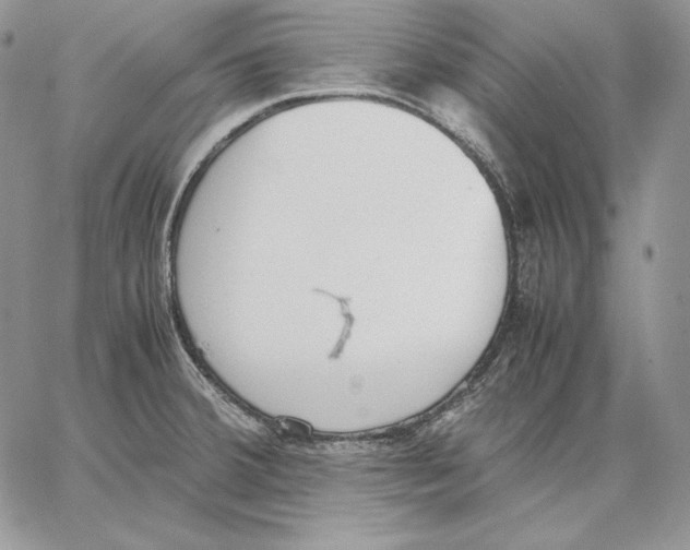 X0000062871380200602031706