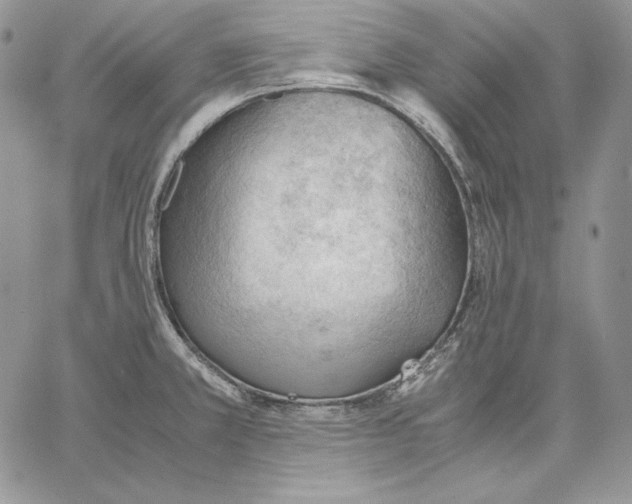 X0000062871381200602031706