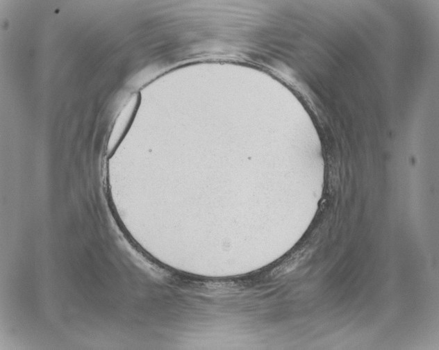 X0000062871383200602031706