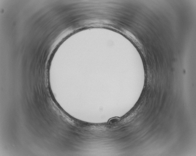 X0000062871384200602031706