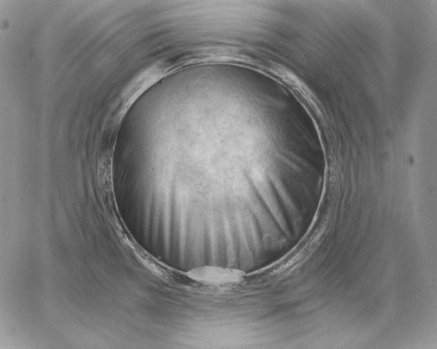 X0000062871385200602031706