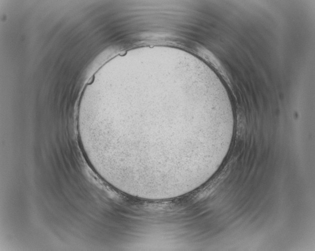 X0000062871386200602031706