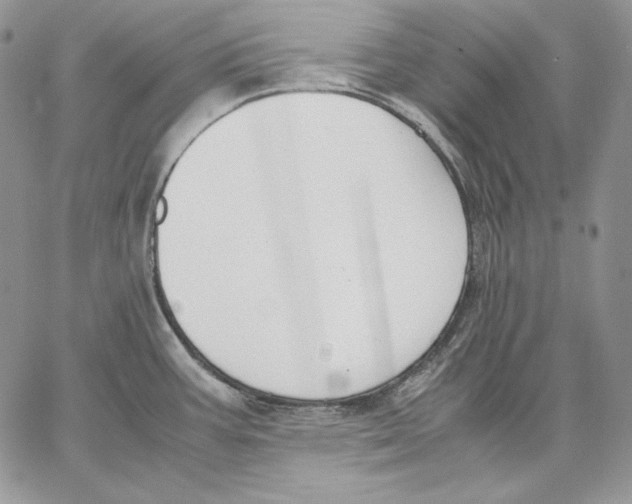 X0000062871387200602031706