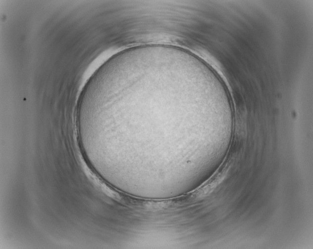 X0000062871389200602031706