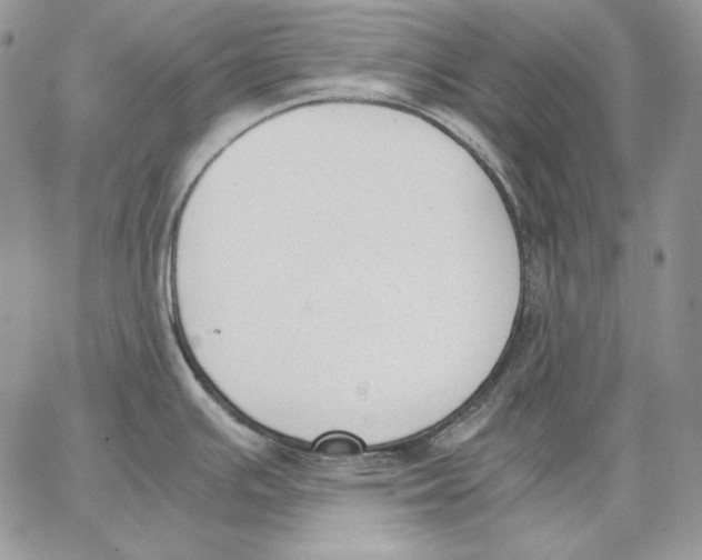 X0000062871391200602031706