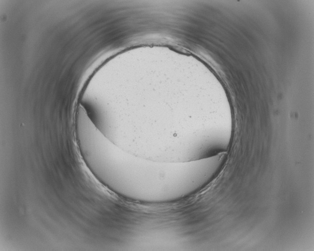 X0000062871392200602031706