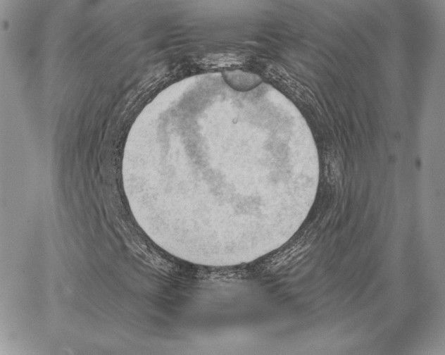 X0000062871393200602031705