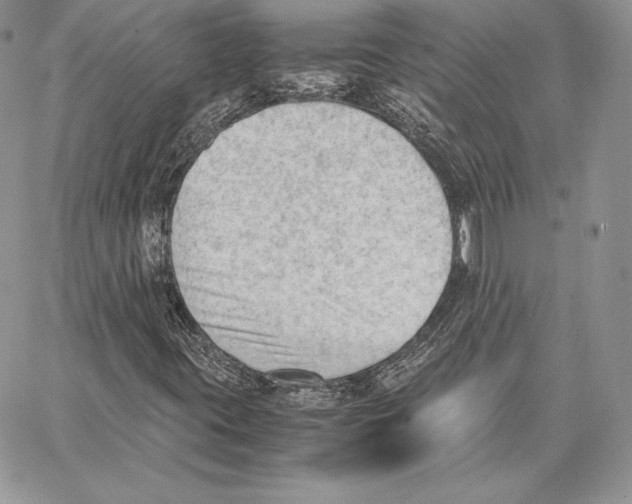 X0000062871395200602031705