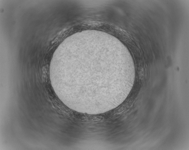 X0000062871397200602031705