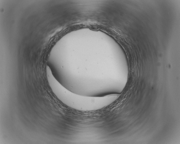 X0000062871398200602031705