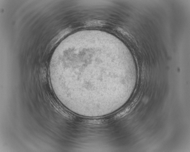 X0000062871401200602031705